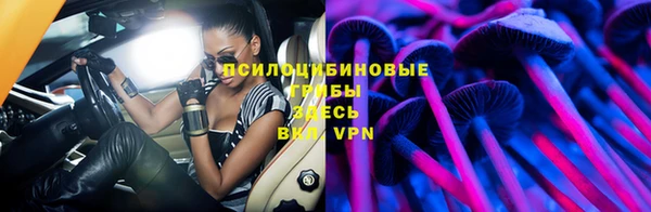 apvp Костерёво